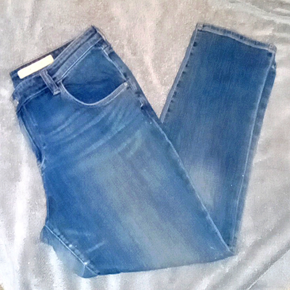 ANTHROPOLOGIE PILCRO & LETTERPRESS REGULAR WAS DENIM JEANS